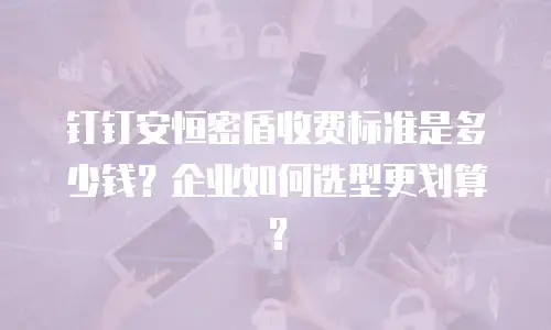 钉钉安恒密盾收费标准是多少钱？企业如何选型更划算？