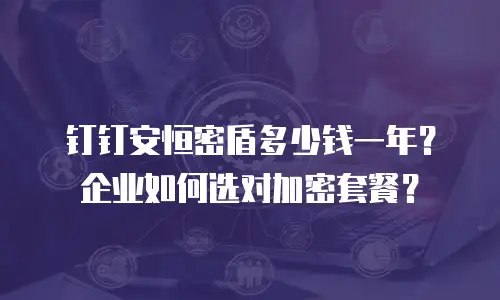 钉钉安恒密盾多少钱一年？企业如何选对加密套餐？