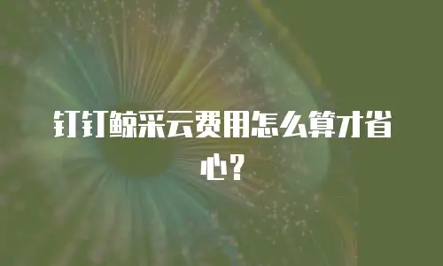 钉钉鲸采云费用怎么算才省心？