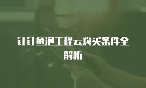 钉钉鱼泡工程云购买条件全解析