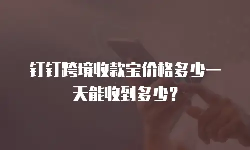 钉钉跨境收款宝价格多少一天能收到多少？