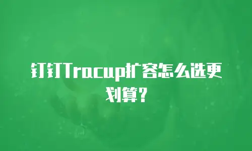 钉钉Tracup扩容怎么选更划算？