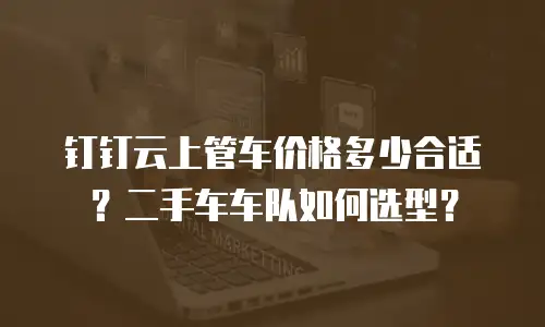 钉钉云上管车价格多少合适？二手车车队如何选型？