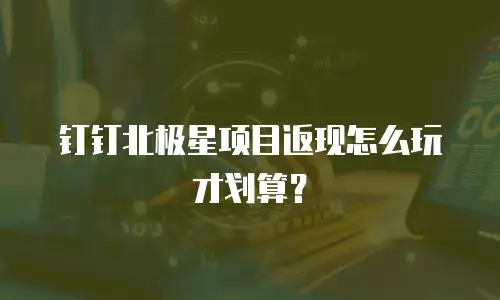 钉钉北极星项目返现怎么玩才划算？