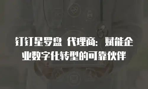 钉钉星罗盘 代理商：赋能企业数字化转型的可靠伙伴