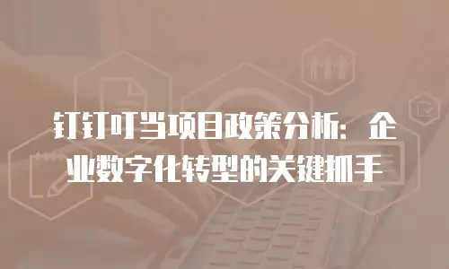 钉钉叮当项目政策分析：企业数字化转型的关键抓手
