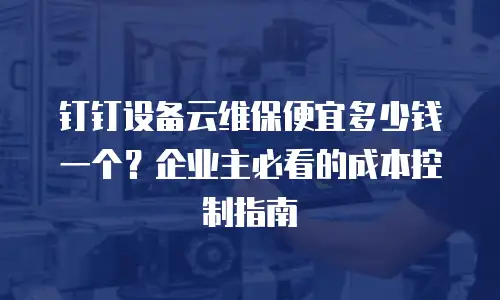 钉钉设备云维保便宜多少钱一个？企业主必看的成本控制指南