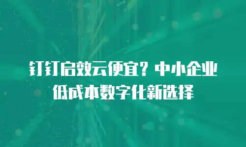 钉钉启效云便宜？中小企业低成本数字化新选择