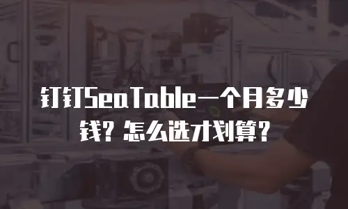钉钉SeaTable一个月多少钱？怎么选才划算？