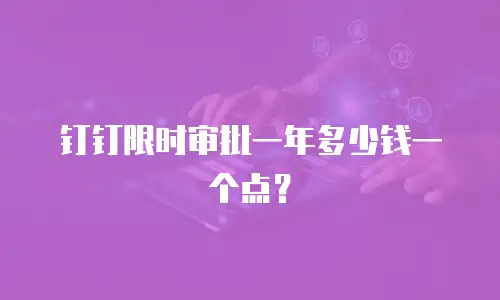 钉钉限时审批一年多少钱一个点？