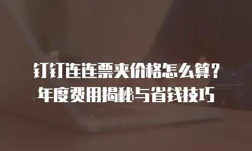 钉钉连连票夹价格怎么算？年度费用揭秘与省钱技巧