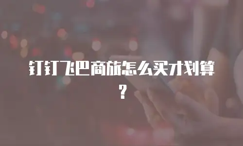 钉钉飞巴商旅怎么买才划算？