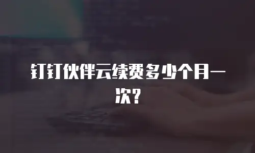 钉钉伙伴云续费多少个月一次？