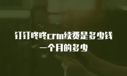钉钉咚咚crm续费是多少钱一个月的多少