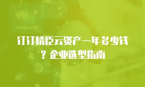 钉钉精臣云资产一年多少钱？企业选型指南