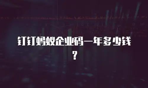 钉钉蚂蚁企业码一年多少钱？