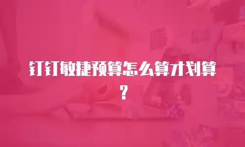 钉钉敏捷预算怎么算才划算？