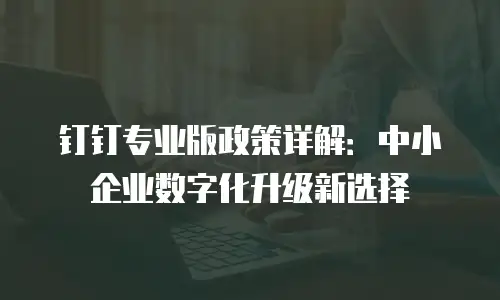 钉钉专业版政策详解：中小企业数字化升级新选择
