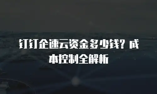 钉钉企速云资金多少钱？成本控制全解析