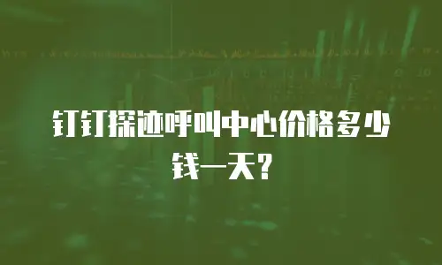 钉钉探迹呼叫中心价格多少钱一天？