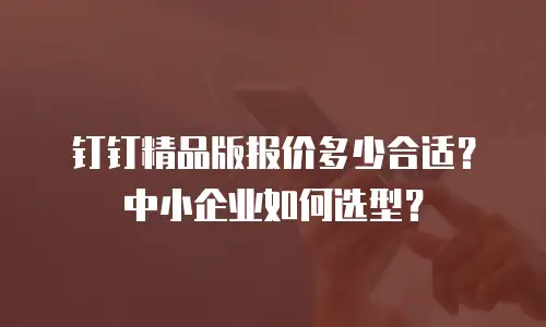 钉钉精品版报价多少合适？中小企业如何选型？