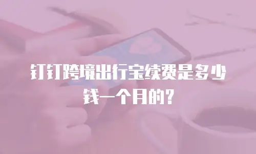 钉钉跨境出行宝续费是多少钱一个月的？