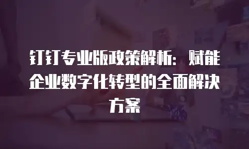 钉钉专业版政策解析：赋能企业数字化转型的全面解决方案