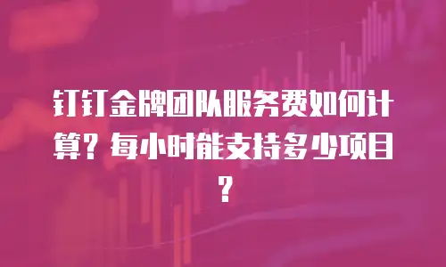 钉钉金牌团队服务费如何计算？每小时能支持多少项目？