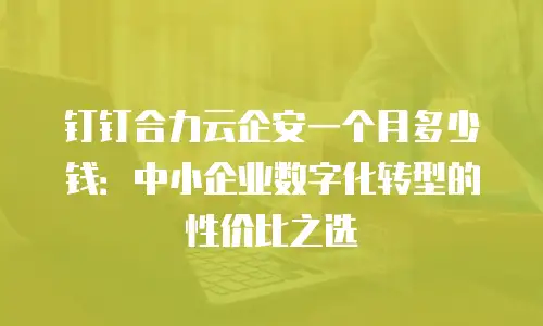 钉钉合力云企安一个月多少钱：中小企业数字化转型的性价比之选