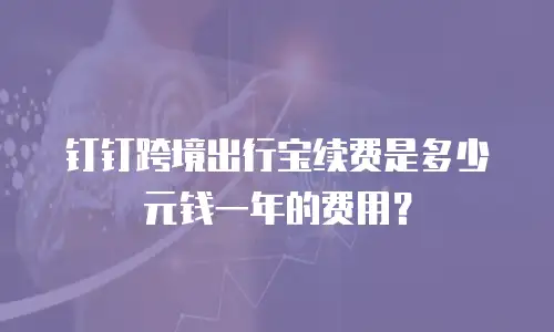 钉钉跨境出行宝续费是多少元钱一年的费用？