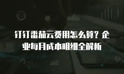 钉钉番茄云费用怎么算？企业每月成本明细全解析