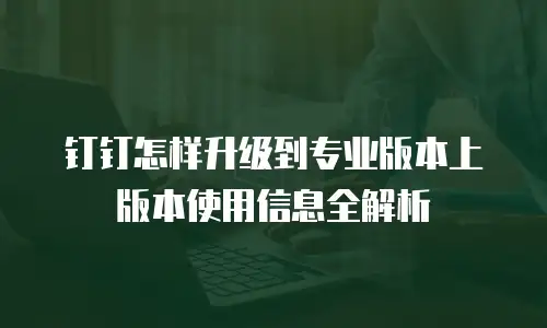 钉钉怎样升级到专业版本上版本使用信息全解析