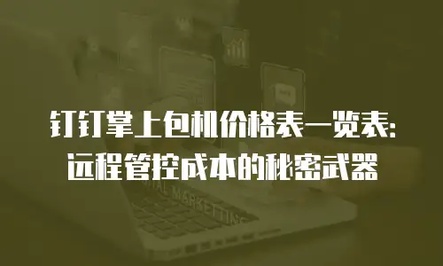 钉钉掌上包机价格表一览表：远程管控成本的秘密武器