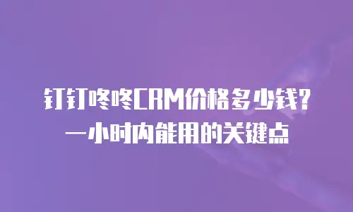 钉钉咚咚CRM价格多少钱？一小时内能用的关键点