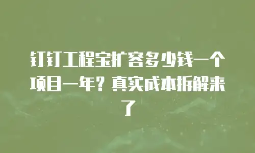 钉钉工程宝扩容多少钱一个项目一年？真实成本拆解来了