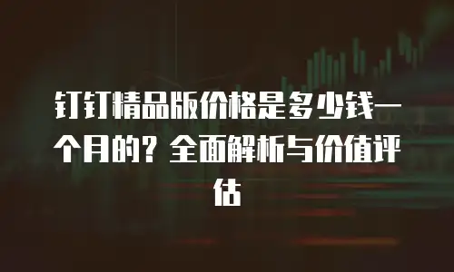 钉钉精品版价格是多少钱一个月的？全面解析与价值评估