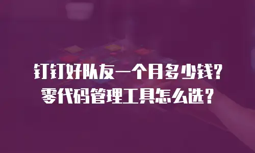 钉钉好队友一个月多少钱？零代码管理工具怎么选？