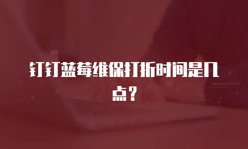 钉钉蓝莓维保打折时间是几点？