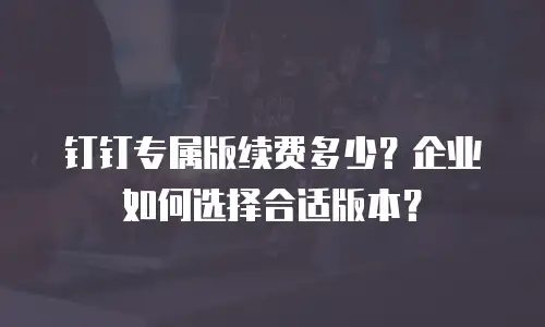 钉钉专属版续费多少？企业如何选择合适版本？