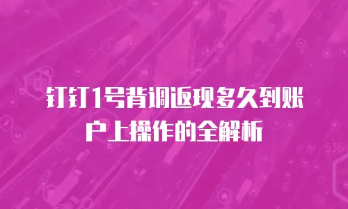 钉钉1号背调返现多久到账户上操作的全解析