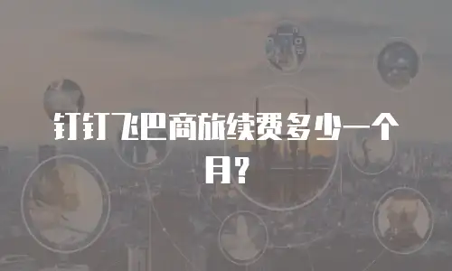 钉钉飞巴商旅续费多少一个月？
