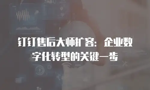 钉钉售后大师扩容：企业数字化转型的关键一步