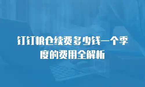 钉钉粮仓续费多少钱一个季度的费用全解析