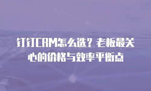 钉钉CRM怎么选？老板最关心的价格与效率平衡点