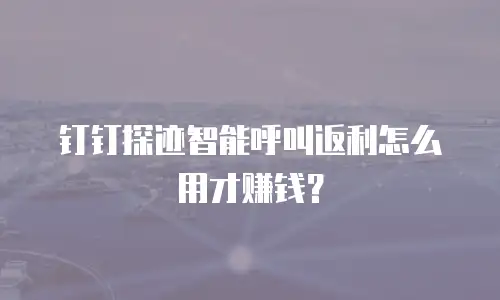 钉钉探迹智能呼叫返利怎么用才赚钱？