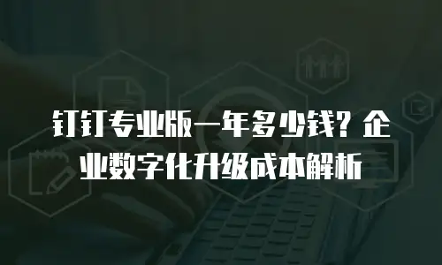 钉钉专业版一年多少钱？企业数字化升级成本解析