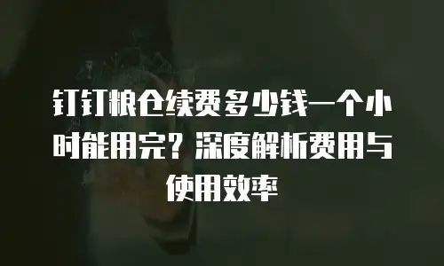 钉钉粮仓续费多少钱一个小时能用完？深度解析费用与使用效率