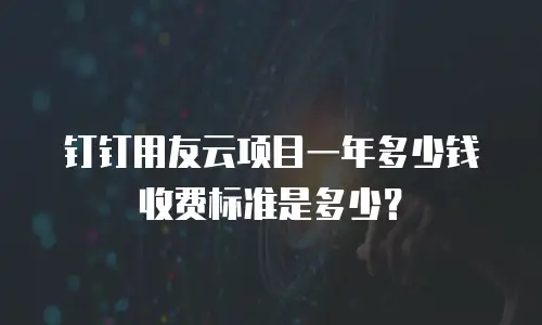 钉钉用友云项目一年多少钱收费标准是多少？