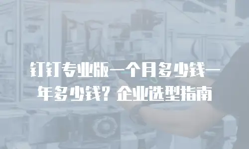 钉钉专业版一个月多少钱一年多少钱？企业选型指南