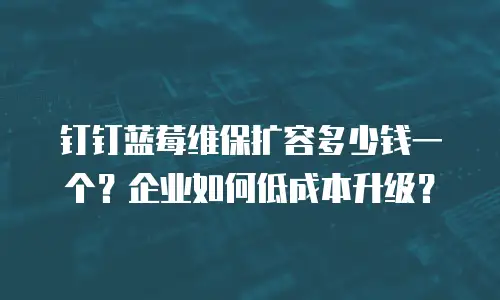 钉钉蓝莓维保扩容多少钱一个？企业如何低成本升级？